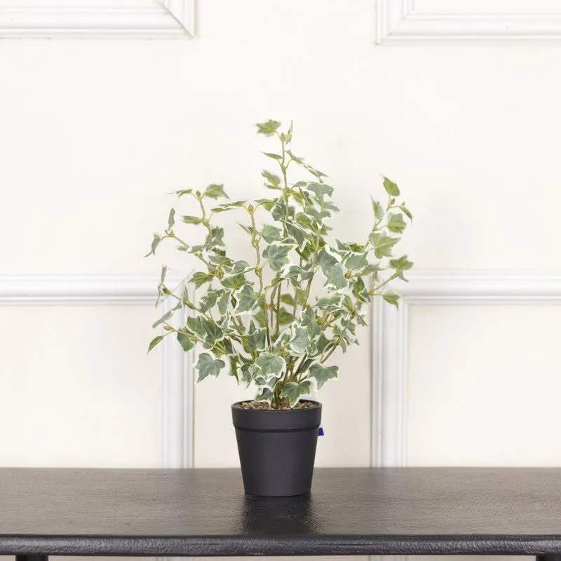 Artificial Frosted Ivy Plant With Black Fiber Pot - 1.4 Feet media 3