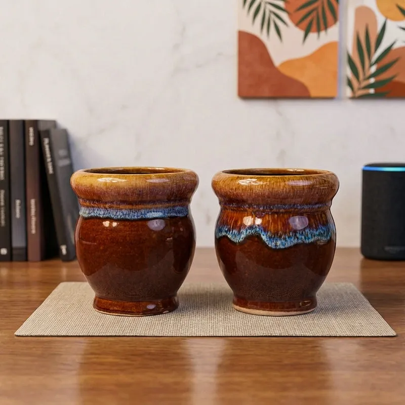 OpulentLeaf Ceramic Planters - Set Of Two media 1