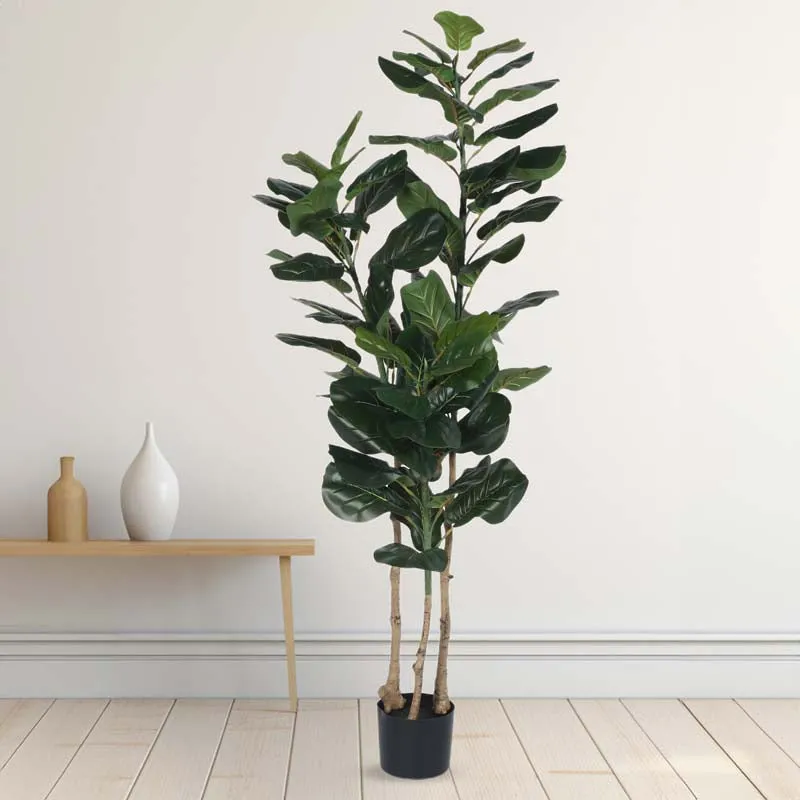 Modern Lush Fiddle Leaf Fig Plant With Black Fiber Pot - 4.6 Feet media 3