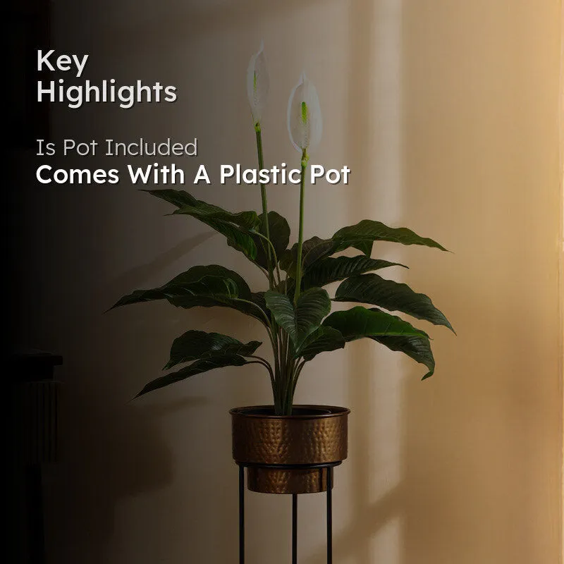 Artificial Realistic Peace Lily Plant With Black Plastic Pot - 2.5 Feet media 2