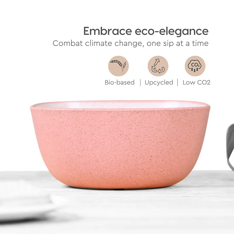 Terra Brew Soup Bowl (300mL) - Set Of Four media 3