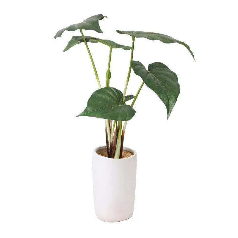 Faux Alocasia Bonsai In Ceramic Pot - 38 cms media 3
