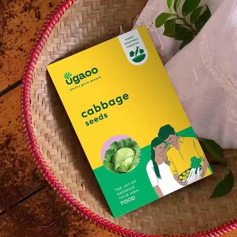 Yellow cabbage seeds packet on a woven tray beside fabric and leaves.