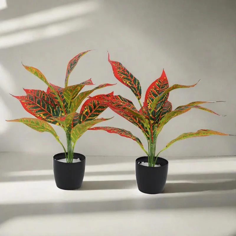 Faux Red Croton Plant With Black Plastic Pot (50 cms) - Set Of Two media 3