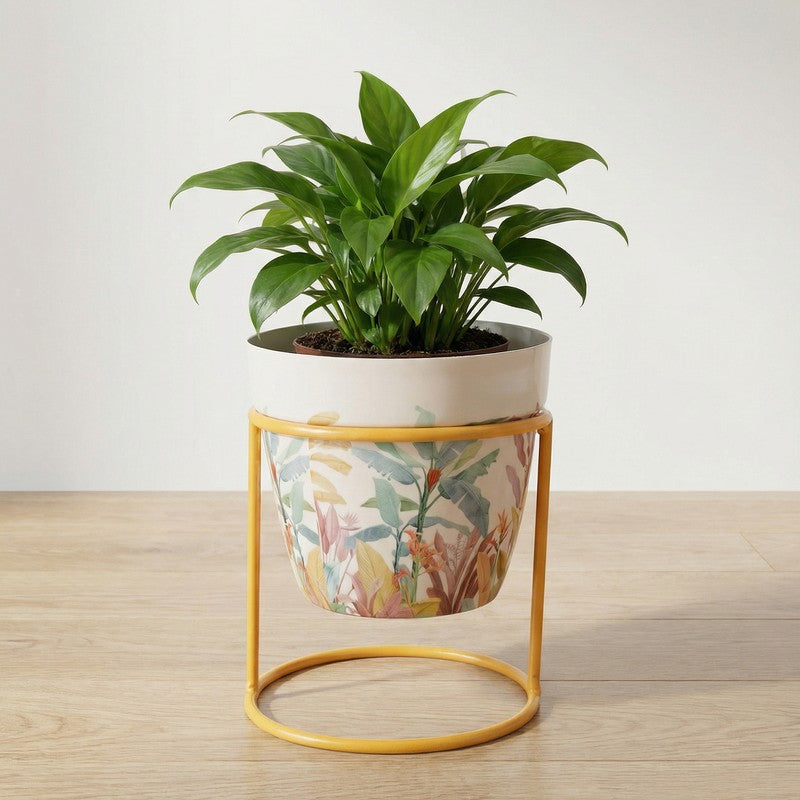 Vessel & Vine Metal Planters With Stand - Two Piece Set media 5