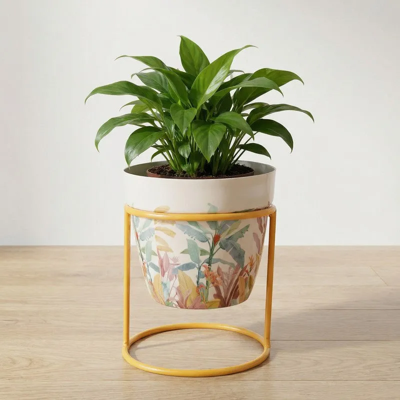 Vessel & Vine Metal Planters With Stand - Two Piece Set media 5