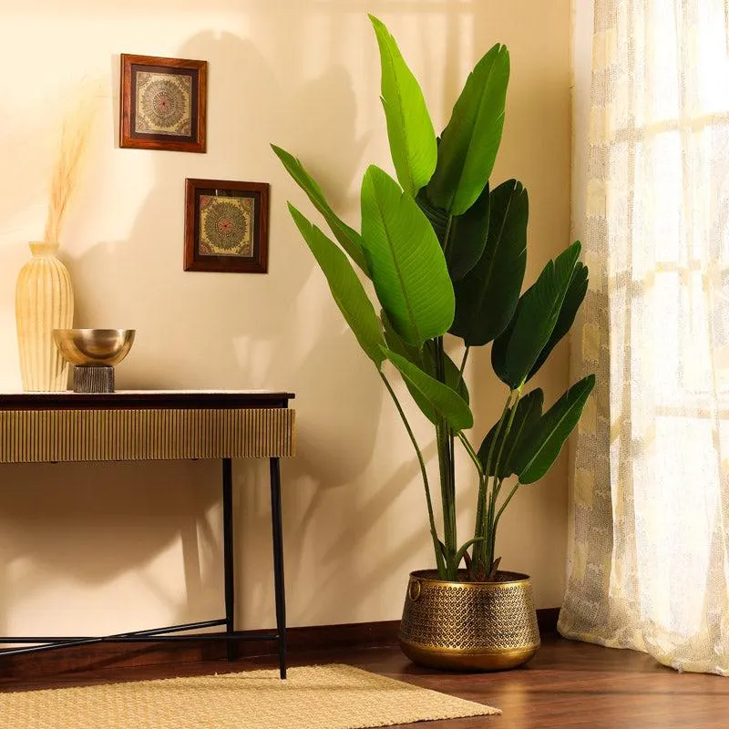 Artificial Banana Tree With Black Plastic Pot - 5.9 Feet media 6