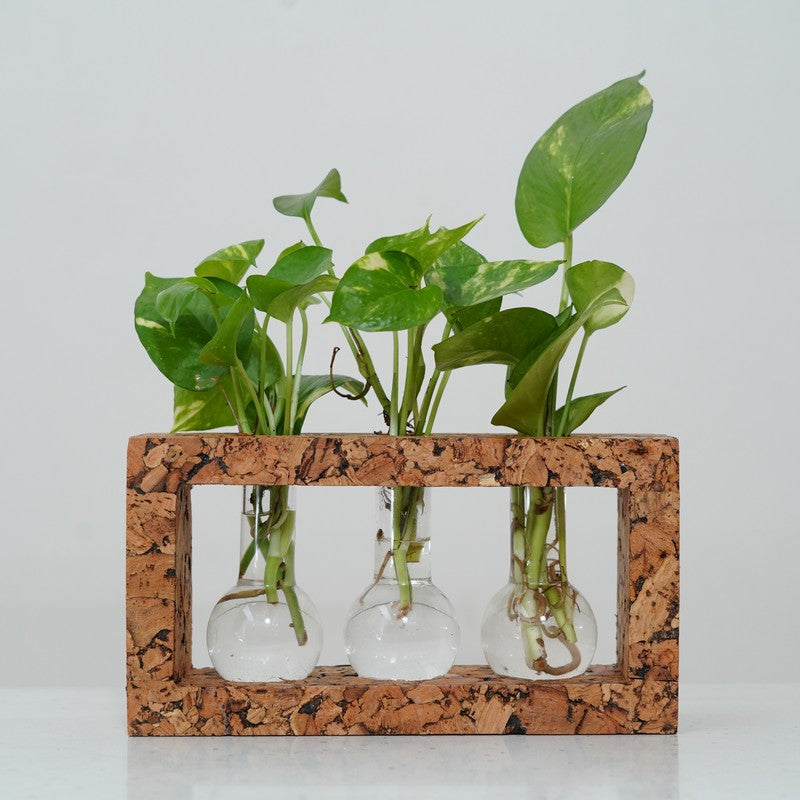 Serene Hydro Bloom Planter With Frame - Four Piece Set media 4