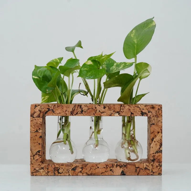 Serene Hydro Bloom Planter With Frame - Four Piece Set media 4
