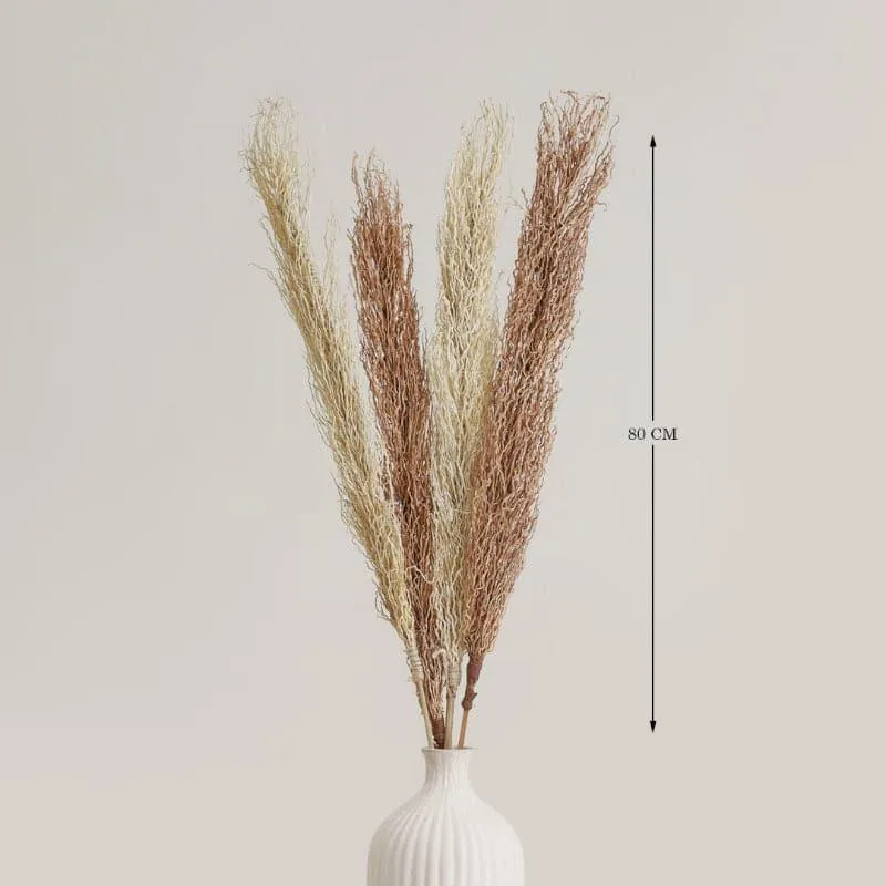 Lizzi Dried Mountain Millet Grass Stick - Set Of Two media 4