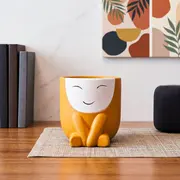 Ceramic Planters category