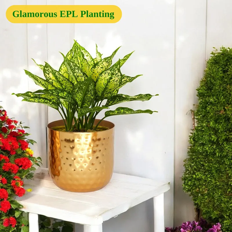 Anvil Bloom Hammered Metal Planter media 6