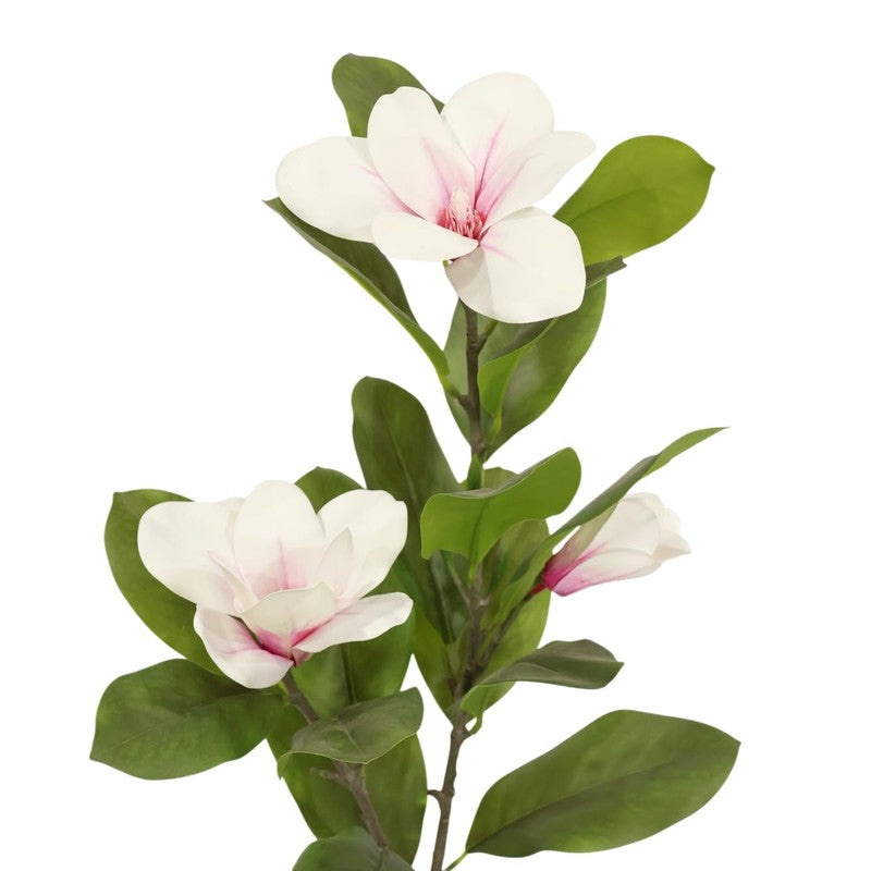 Leafio Artificial Mangolia Plant - 3.3 Feet media 4