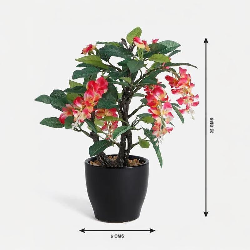 Faux Wisteria Bonsai In Ceramic Pot (25 cms) - Pink media 4