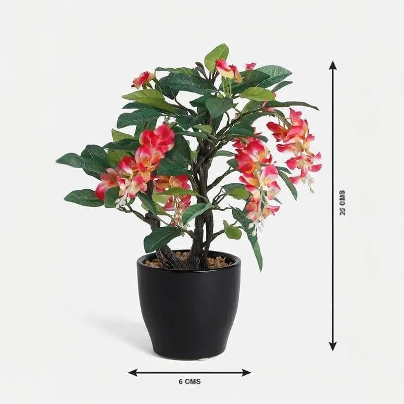 Faux Wisteria Bonsai In Ceramic Pot (25 cms) - Pink media 4
