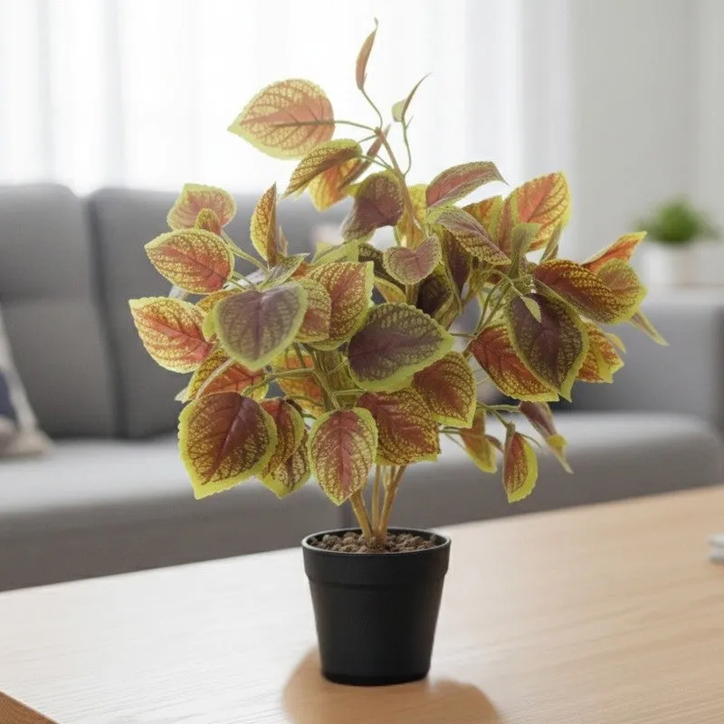 Artificial Brown Coleous Leaf Plant With Black Fiber Pot - 1 Feet media 5