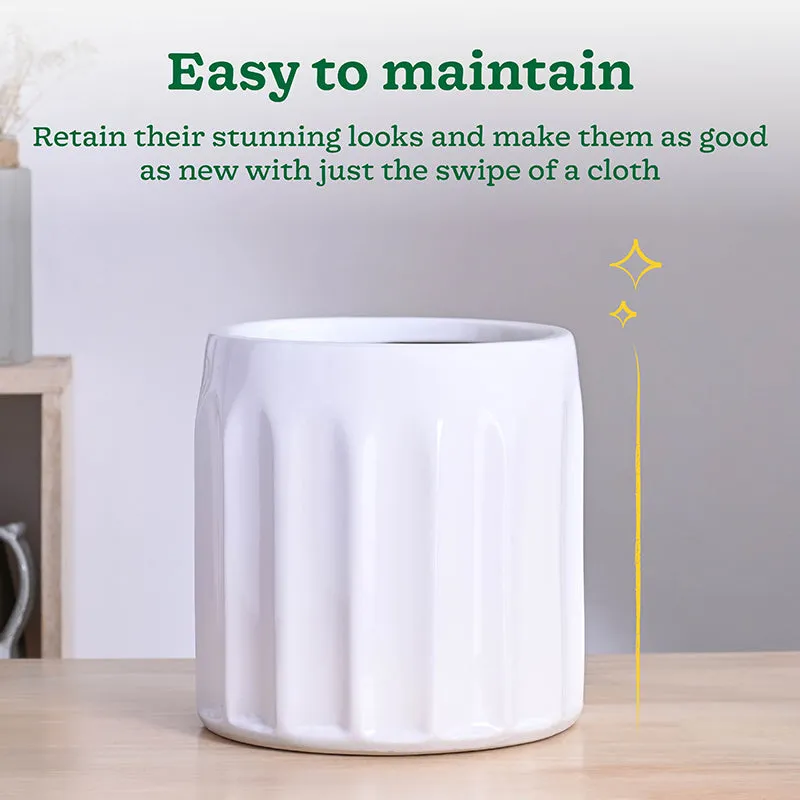 Ugaoo Straits Ceramic Planter - White - 5