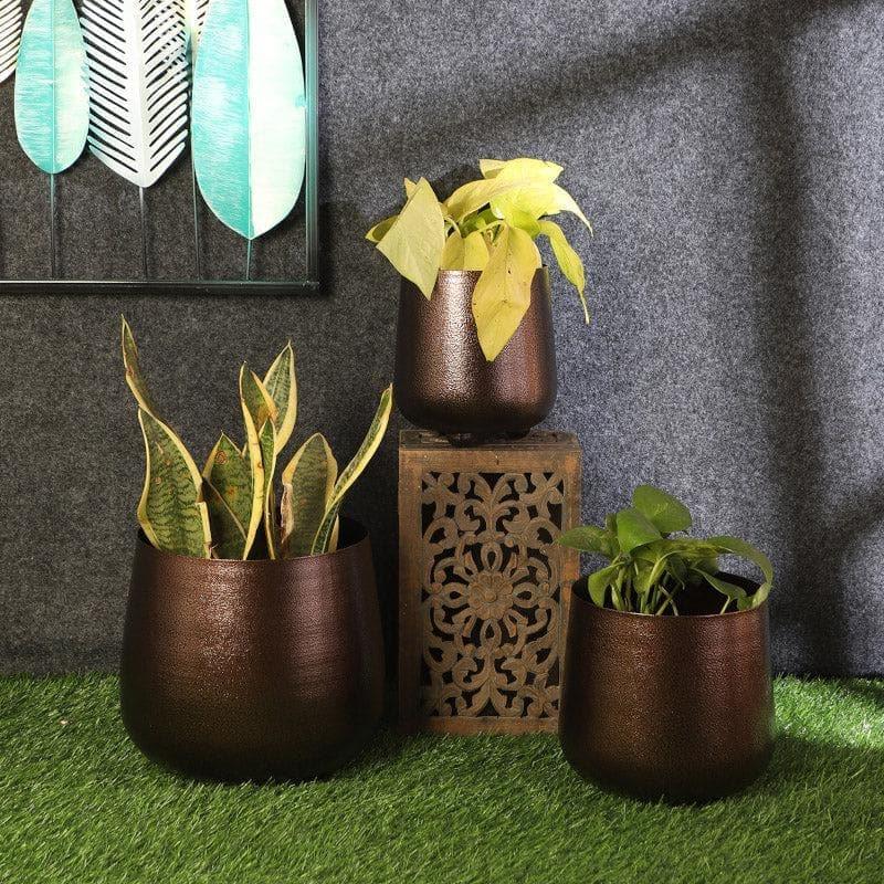 Shrina Shae Planter - Set Of Three media 3