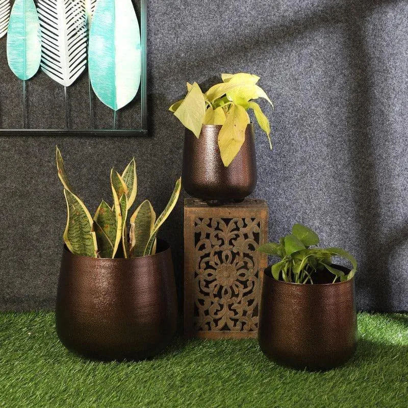 Shrina Shae Planter - Set Of Three media 3