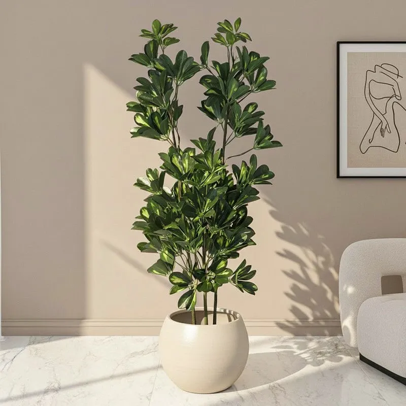 Faux Schefflera Plant With Black Plastic Pot (3.94 ft) - White media 1