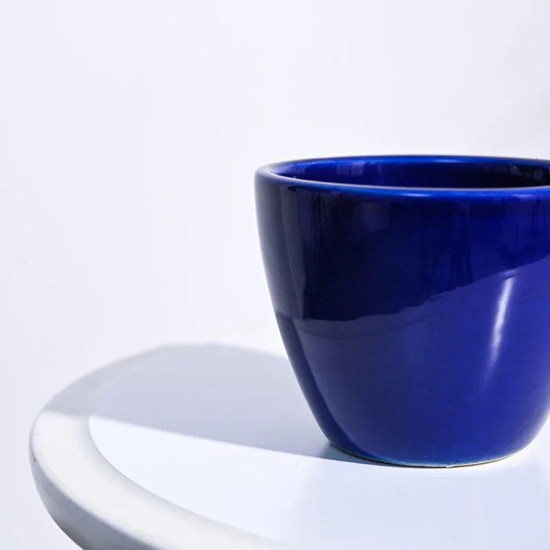 Ugaoo Apple Blue Ceramic Pot media 4