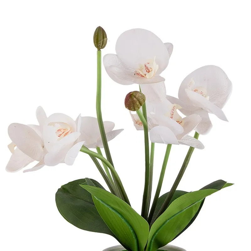 AarviDecor Elegant Bloom Silk Artificial Plants media 9