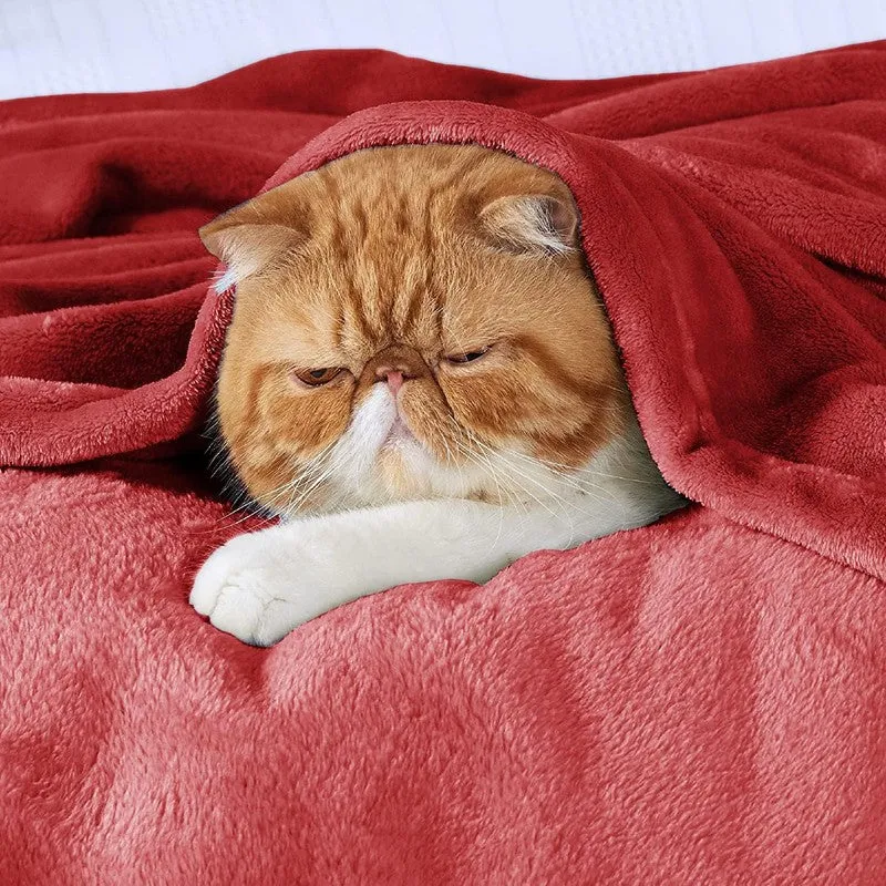 MonoPure Polyster Comforter (Red) - 180 GSM media 10