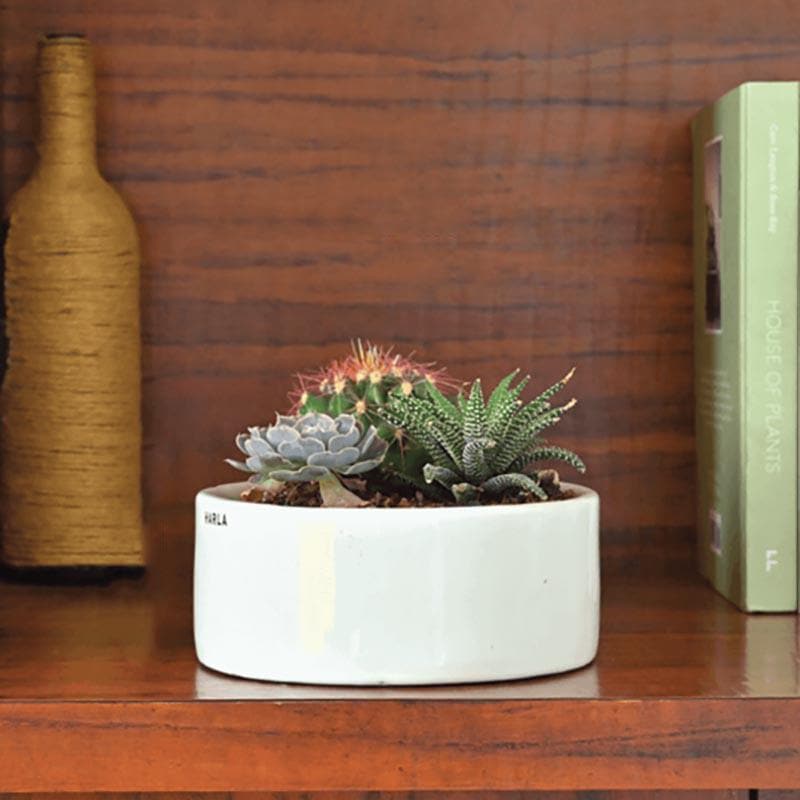 Ugaoo Lilac Stories 6022 White Ceramic Pot media 2