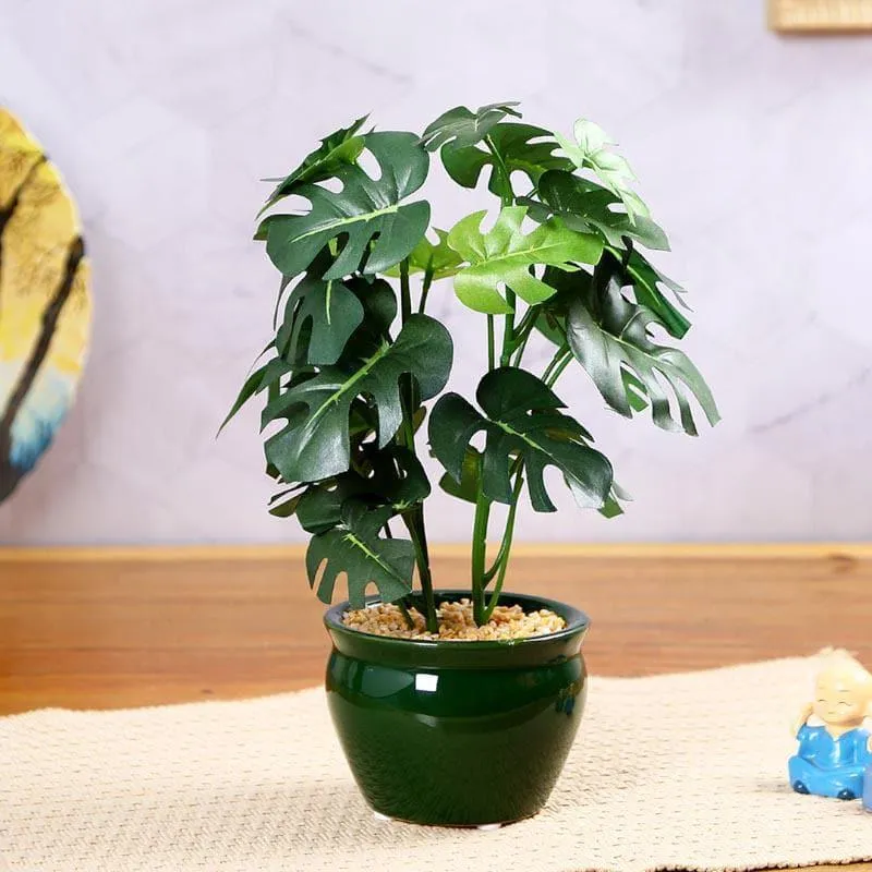 Faux Philodendron Bonsai In Ceramic Pot (28 cms) - Small media 1