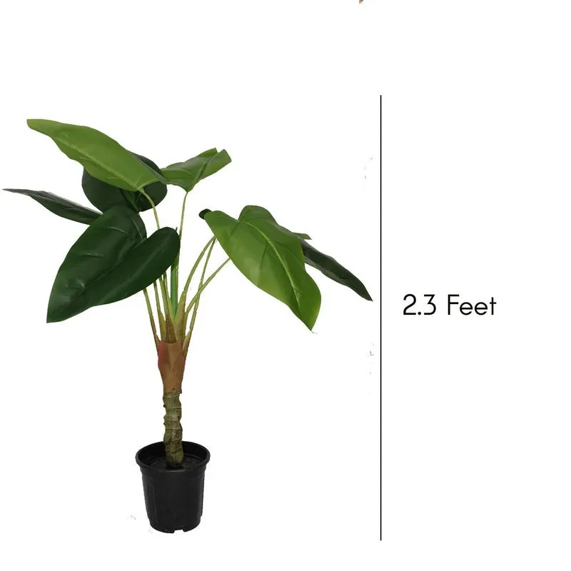 TeraVine Alocasia Artificial Plant With Black Plastic Pot - 2.4 Feet media 8