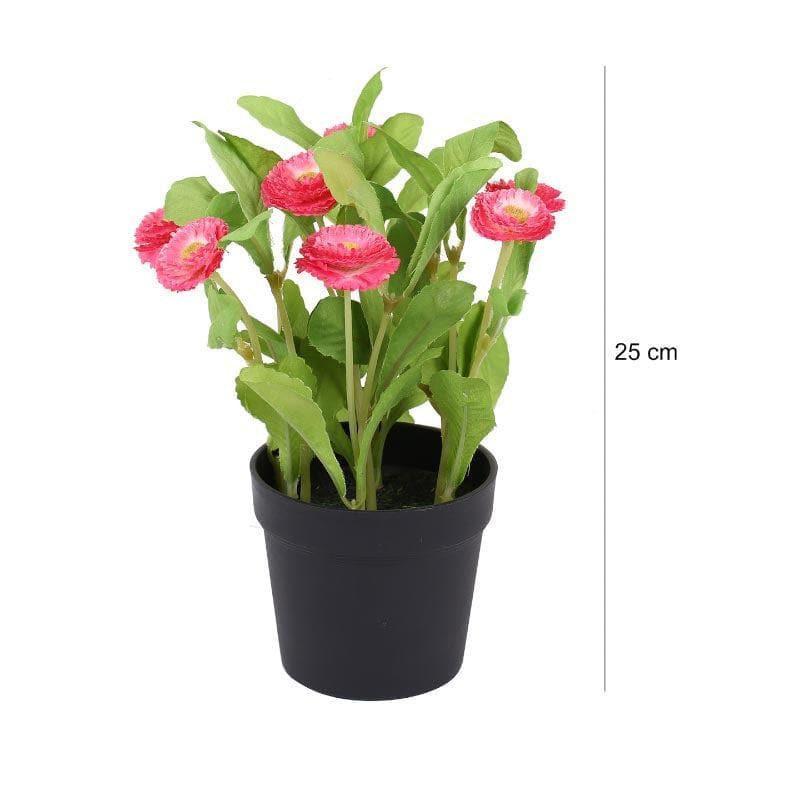 Faux Daisy Bonsai In Black Plastic Pot (25 cms) - Pink media 5