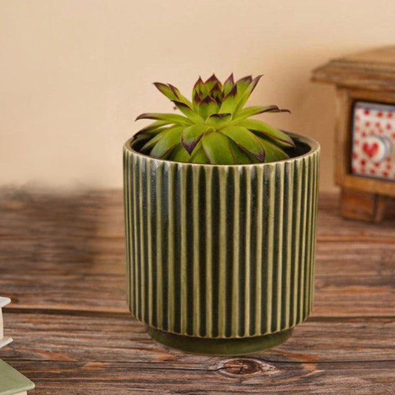 Ahanay Ribbed Planter (Olive Green) -Single Piece media 2