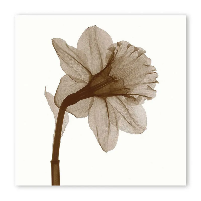 Coffey Floral Wall Art media 4
