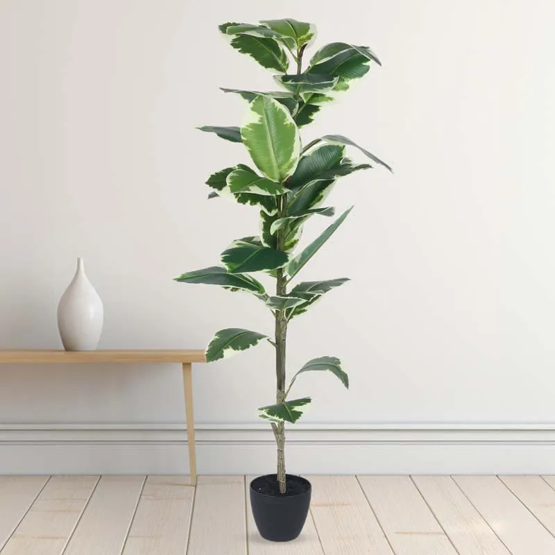 Faux Lush Variegated Rubber Plant With Black Plastic Pot - 4 Feet media 3