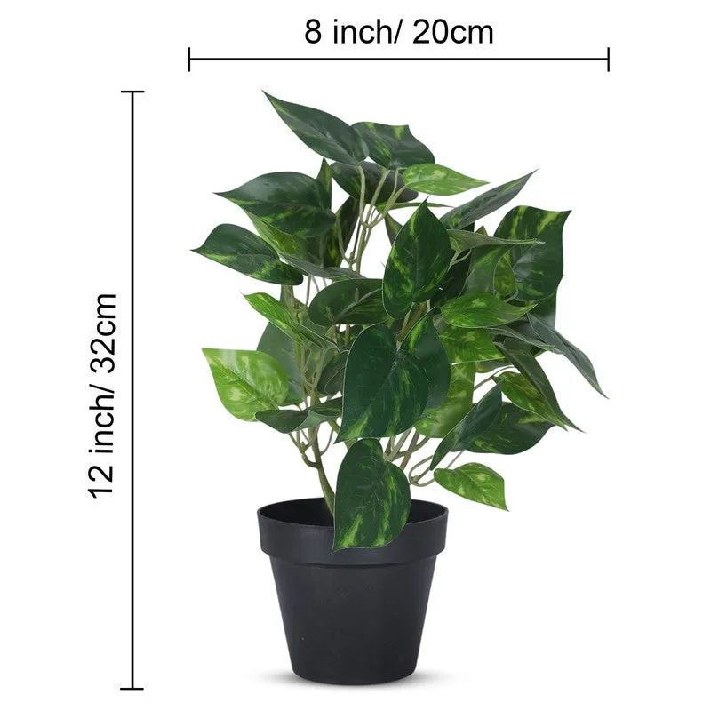 Artificial Money Plant With Black Plastic Pot media 5