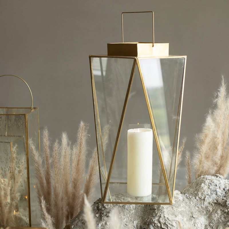 Orange Tree Alex Lantern media 6