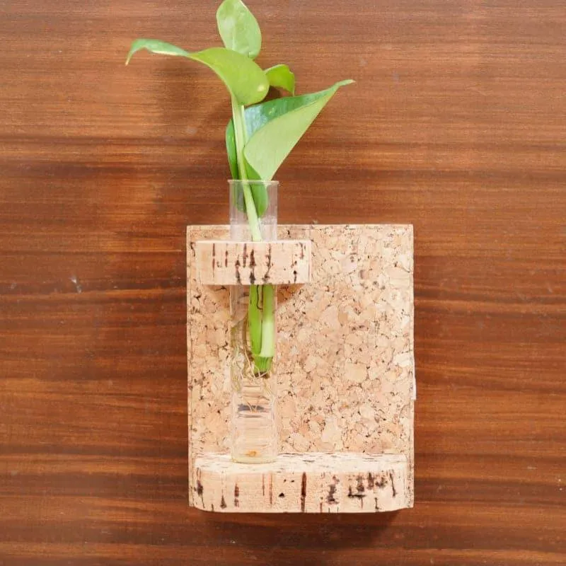 Ida Cork Testube Planter media 3