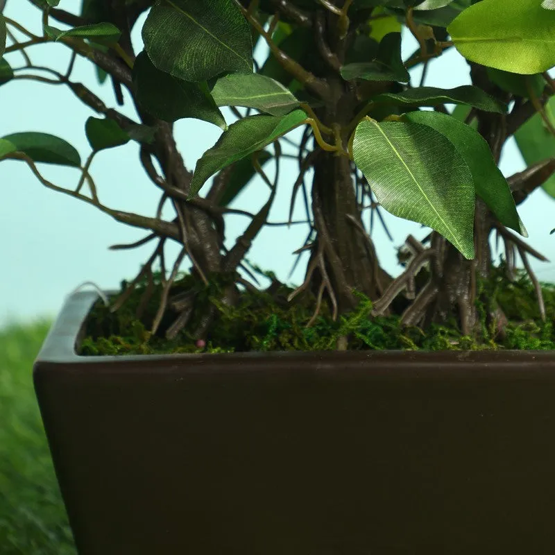 Green Ficus Artificial Bonsai Plant With Ceramic Pot - 1 Feet media 3