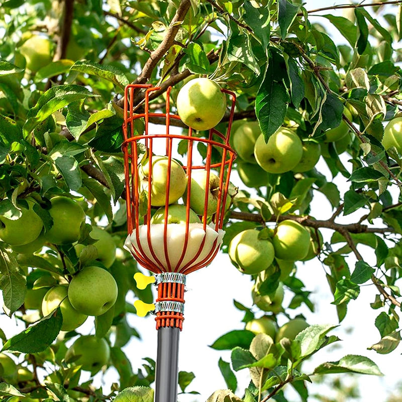 Pick Pro Fruit Picker - Orange media 7