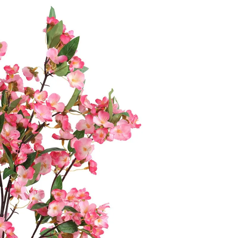 Cherry Blossom Plant With Black Plastic Pot - 5 ft media 6