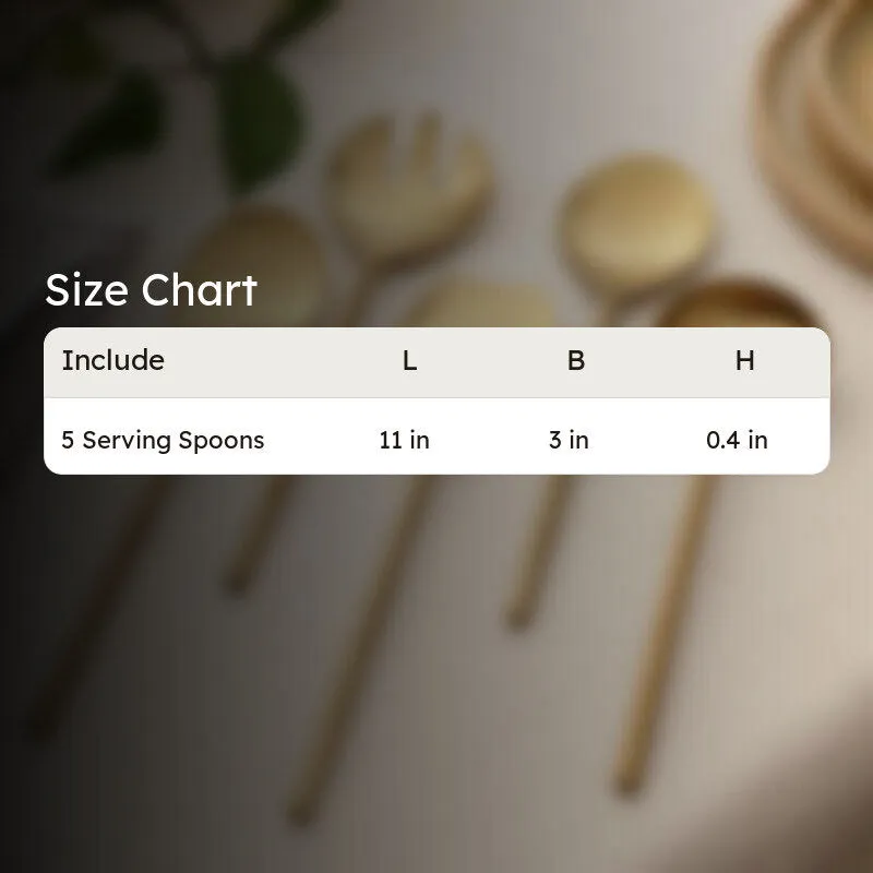 Zarifa Stainless Steel Serving Spoon - Set Of Five media 8