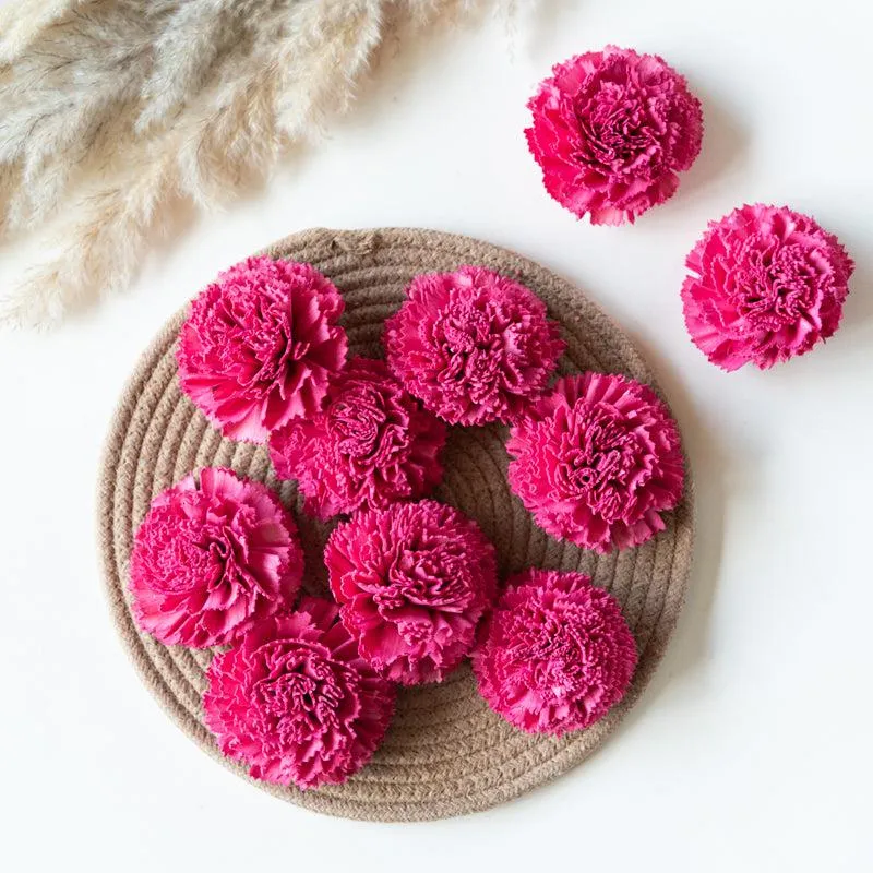 Berta Carnation Sola Flower (Pink) - Set Of Ten media 1