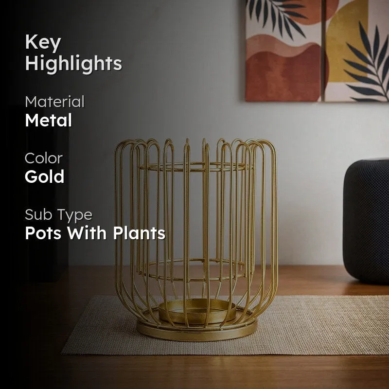 Freyana Metal Planter media 2