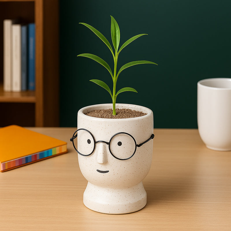 Cheeky Bloom Ceramic Planter - White media 2