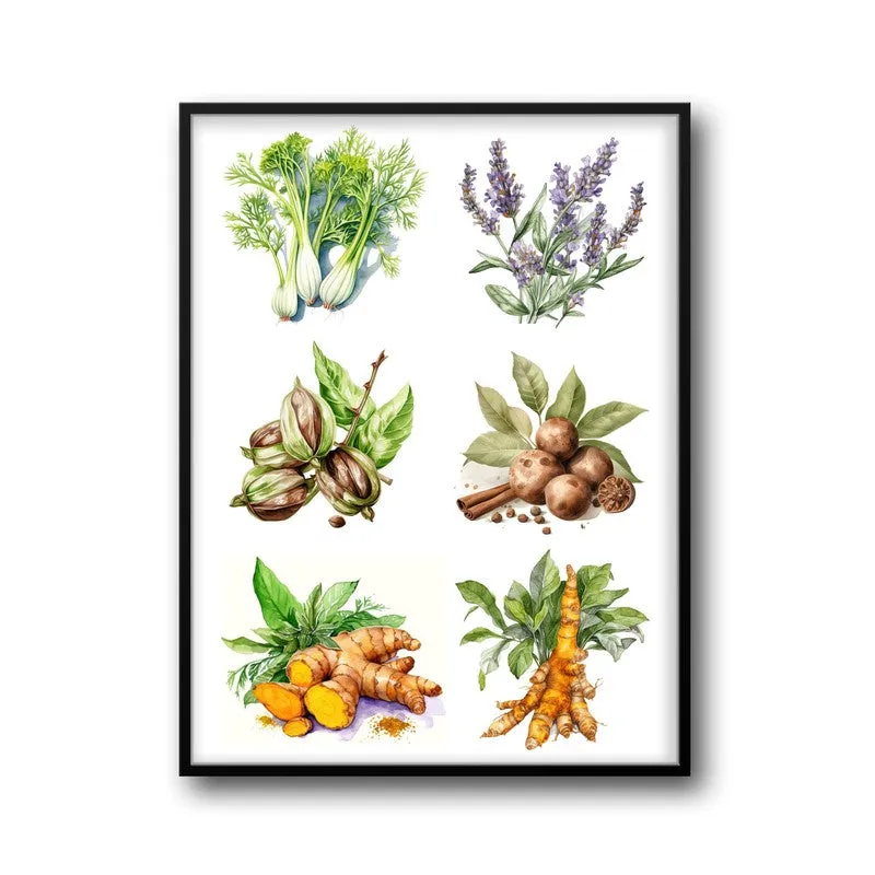 Garden Of Herbs Framed Canvas Wall Painting media 6