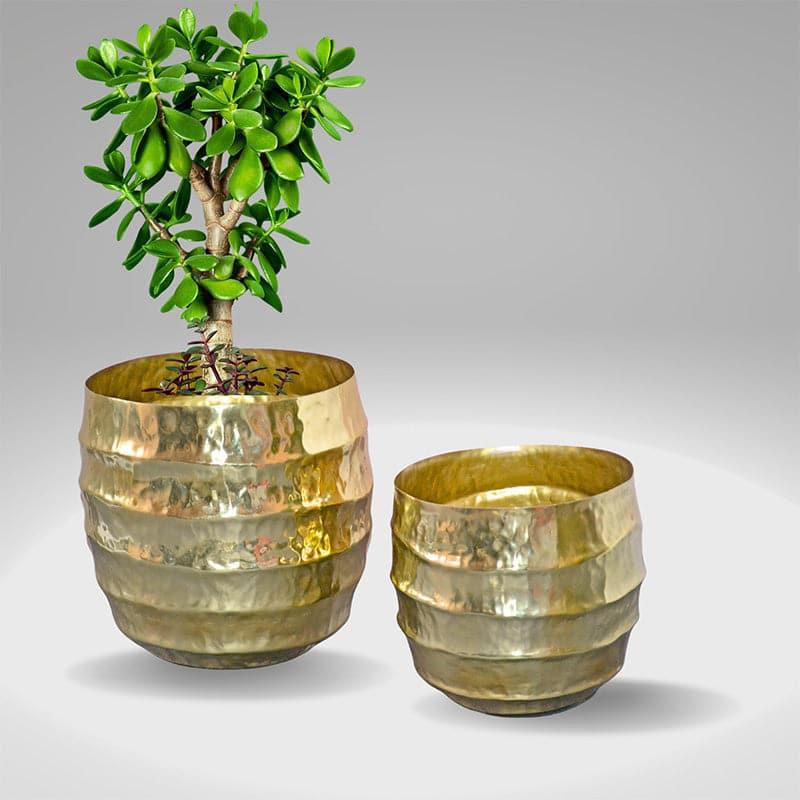 Moha Iron Planter - Gold media 4