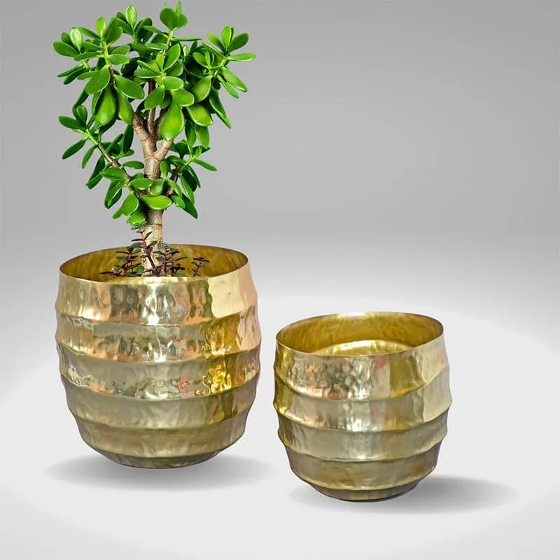 Moha Iron Planter - Gold media 4