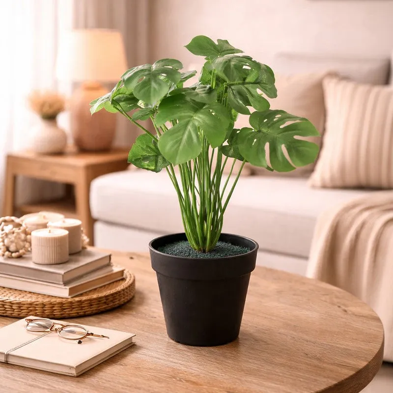 Neonix Monstera Artificial Plant With Plastic Pot - 0.8 Feet media 7