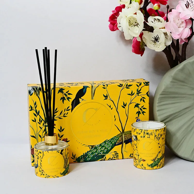 Nevoa Reed Diffuser (Yellow) - Two Piece Set media 1
