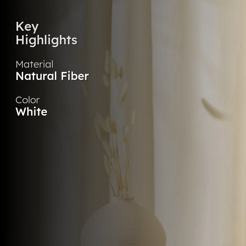 Bunny Tail Ornamental Grass (60 cms) - White media 2